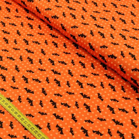 040678_000000_1 040678_000000_1