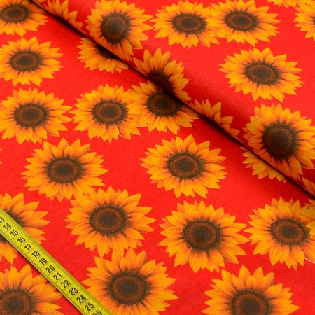 040538_000000_1 040538_000000_1