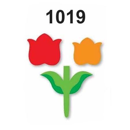 041855_000000_1 041855_000000_1