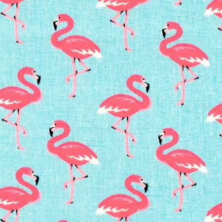 041748_000000_1 041748_000000_1