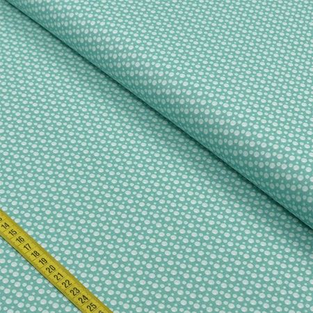 042479_000000_1 042479_000000_1