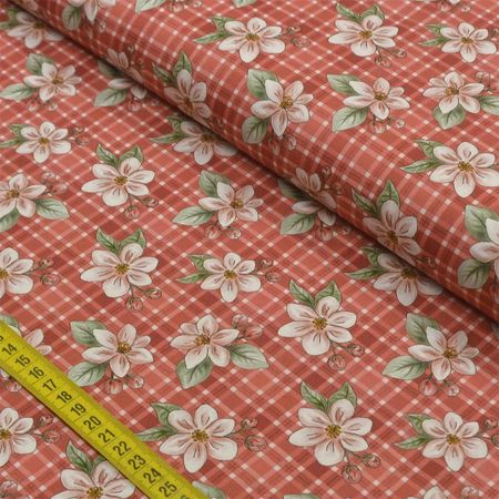 042824_000000_1 042824_000000_1