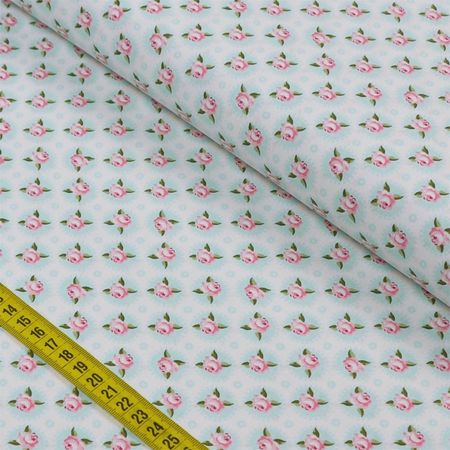 043421_000000_1 043421_000000_1