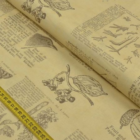 043533_000000_1 043533_000000_1