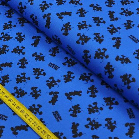 043628_000000_1 043628_000000_1