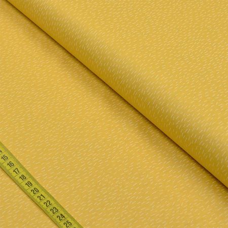 043720_000000_1 043720_000000_1