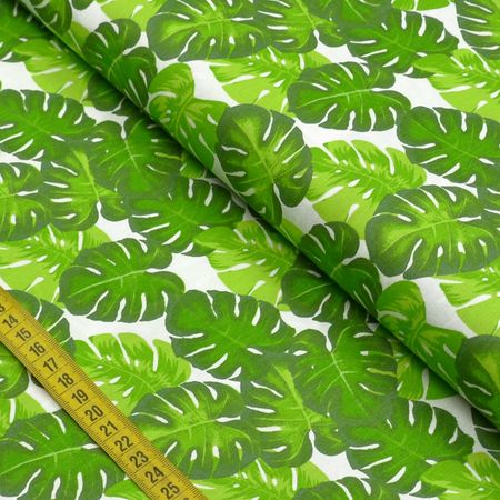 044011_000000_1 044011_000000_1