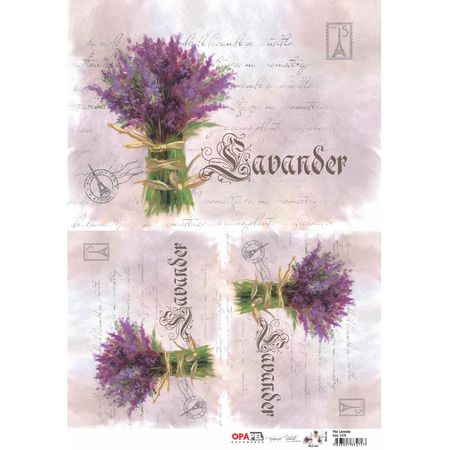 044378_000000_1 044378_000000_1