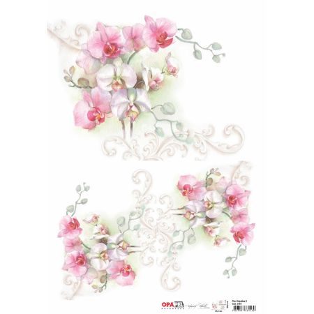 044380_000000_1 044380_000000_1