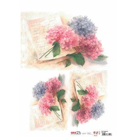 044391_000000_1 044391_000000_1