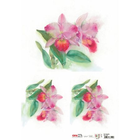 044399_000000_1 044399_000000_1