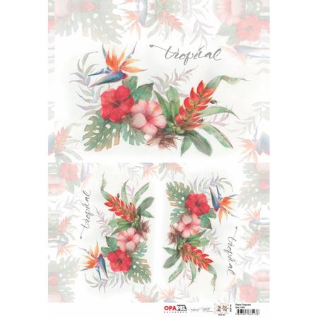 044403_000000_1 044403_000000_1