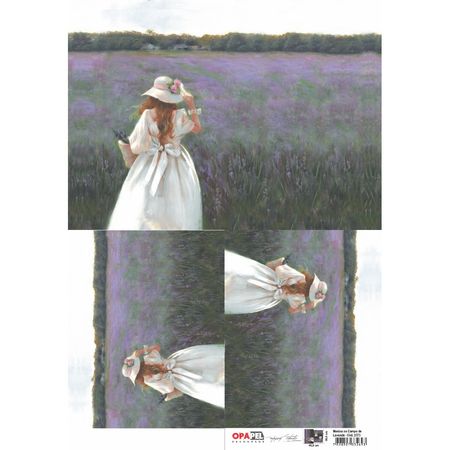 044406_000000_1 044406_000000_1