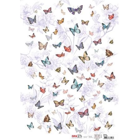 044410_000000_1 044410_000000_1