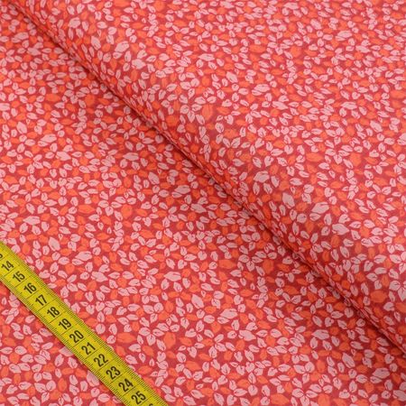 044972_000000_1 044972_000000_1