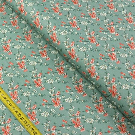 025005_000000_1 025005_000000_1