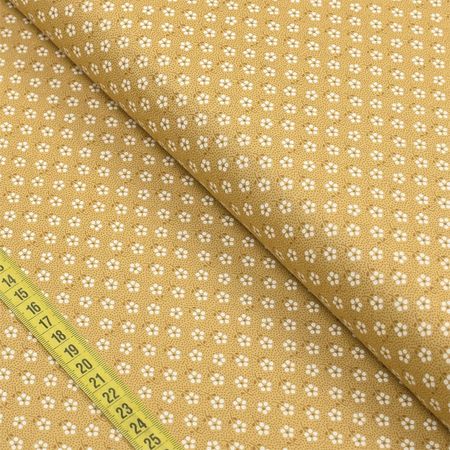 045490_000000_1 045490_000000_1