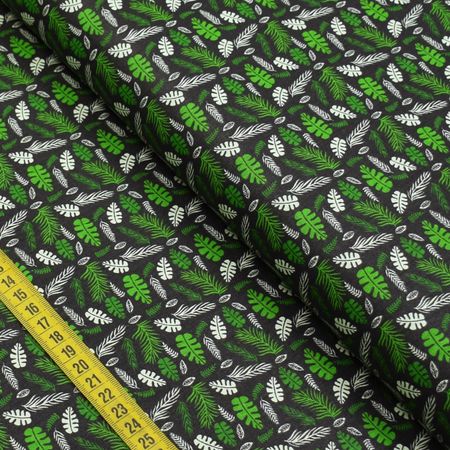 046209_000000_1 046209_000000_1