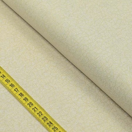 046363_000000_1 046363_000000_1