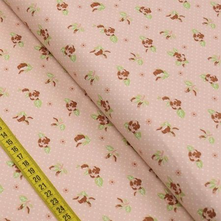 047448_000000_1 047448_000000_1