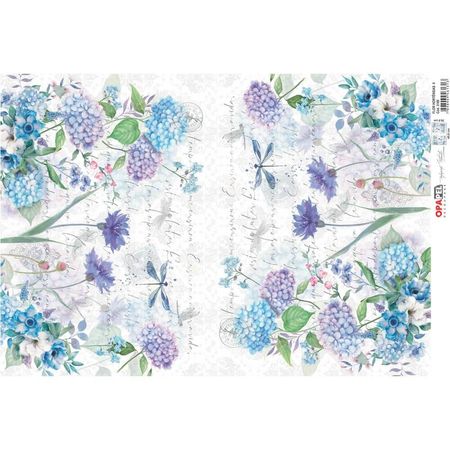 047611_000000_1 047611_000000_1