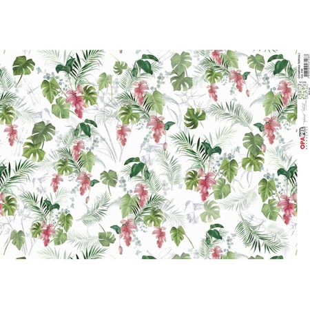 047612_000000_1 047612_000000_1