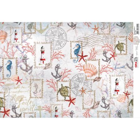 048224_000000_1 048224_000000_1