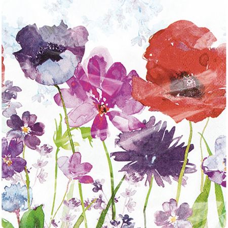 048439_000000_1 048439_000000_1