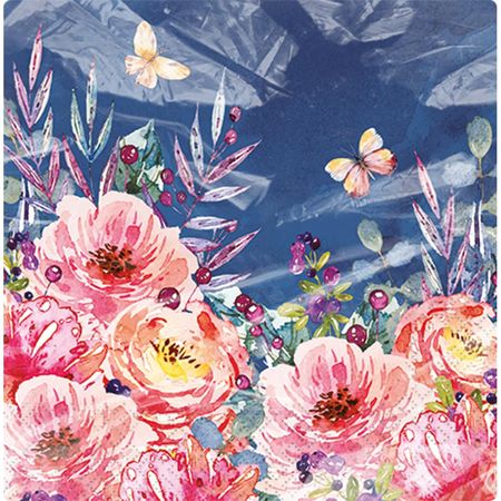 048440_000000_1 048440_000000_1