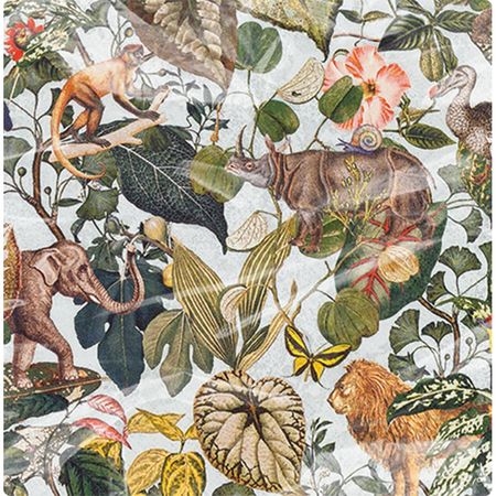 048443_000000_1 048443_000000_1