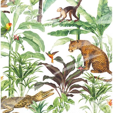 048444_000000_1 048444_000000_1