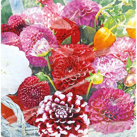 048447_000000_1 048447_000000_1