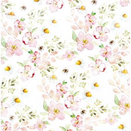 048448_000000_1 048448_000000_1