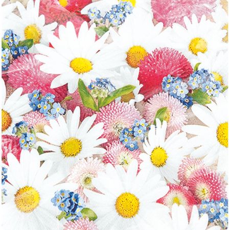 048457_000000_1 048457_000000_1