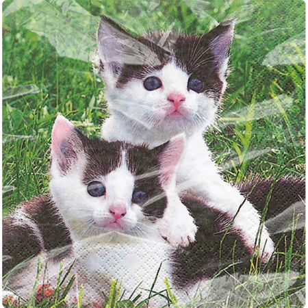 048464_000000_1 048464_000000_1