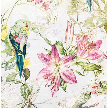 048466_000000_1 048466_000000_1