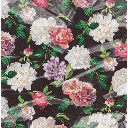 048467_000000_1 048467_000000_1