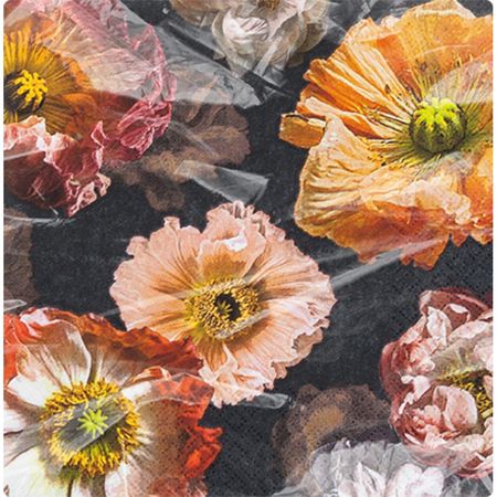 048465_000000_1 048465_000000_1