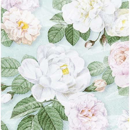 048469_000000_1 048469_000000_1