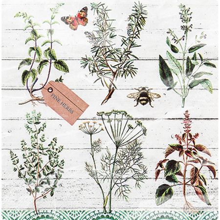 048470_000000_1 048470_000000_1