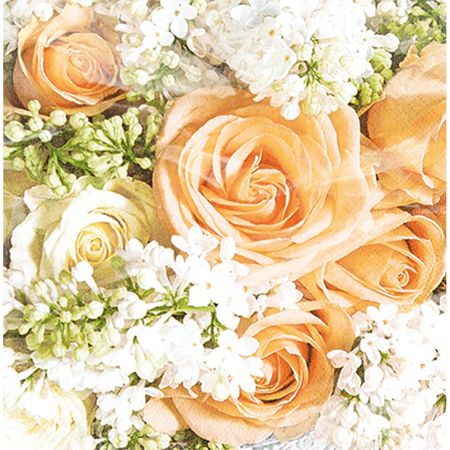 048473_000000_1 048473_000000_1