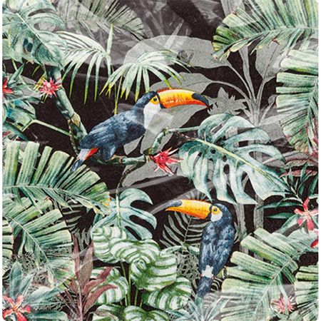 048477_000000_1 048477_000000_1