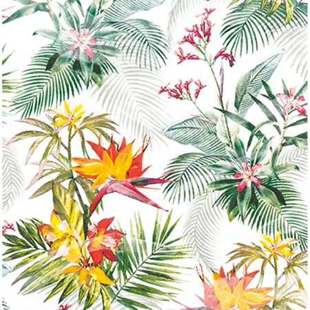 048479_000000_1 048479_000000_1