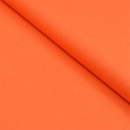 048513_000000_1 048513_000000_1