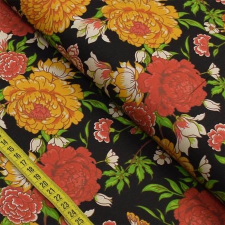 048831_000000_1 048831_000000_1