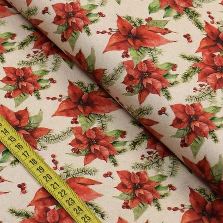 049088_000000_1 049088_000000_1