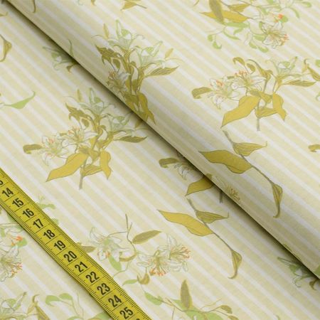 049312_000000_1 049312_000000_1