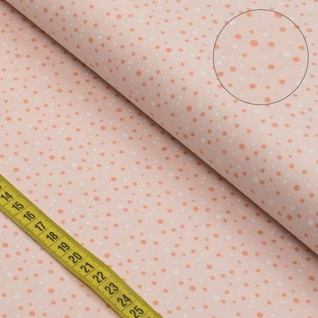 049533_000000_1 049533_000000_1