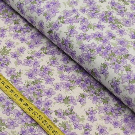 049653_000000_1 049653_000000_1