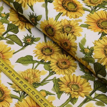 049664_000000_1 049664_000000_1